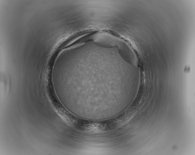 X0000090760736200708101747