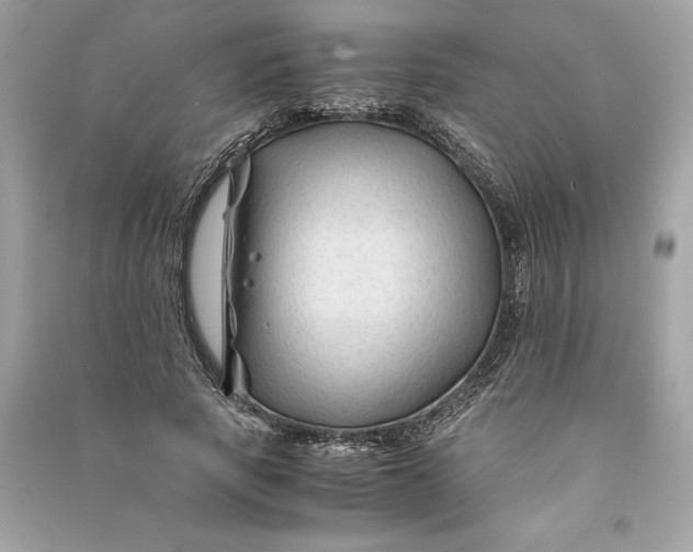 X0000090760737200708101747