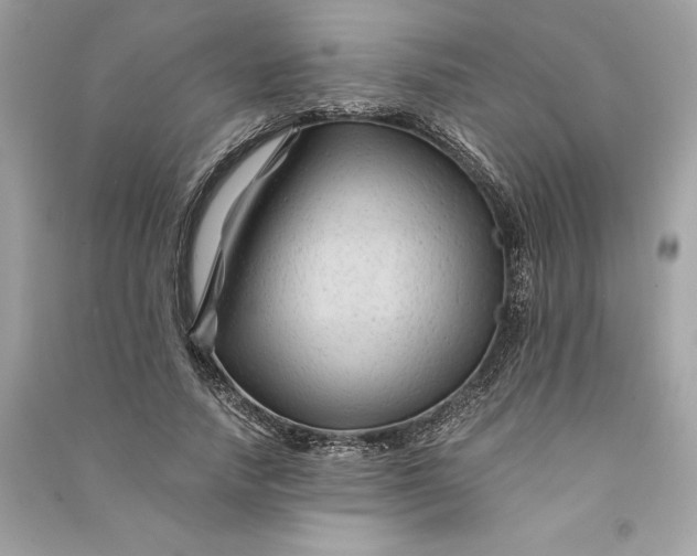 X0000090760738200708101747