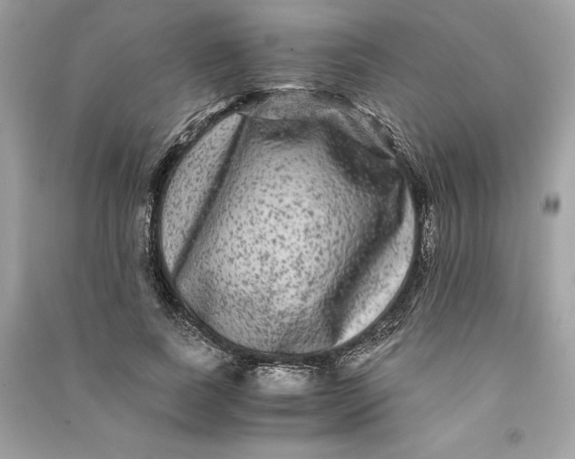 X0000090760739200708101747