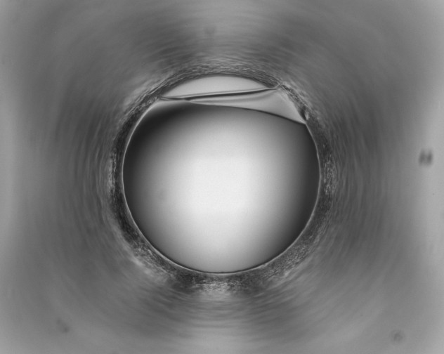 X0000090760740200708101747