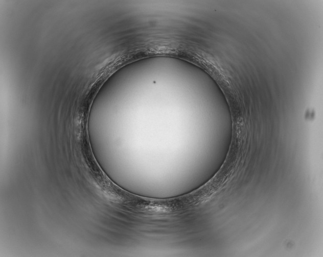 X0000090760741200708101747