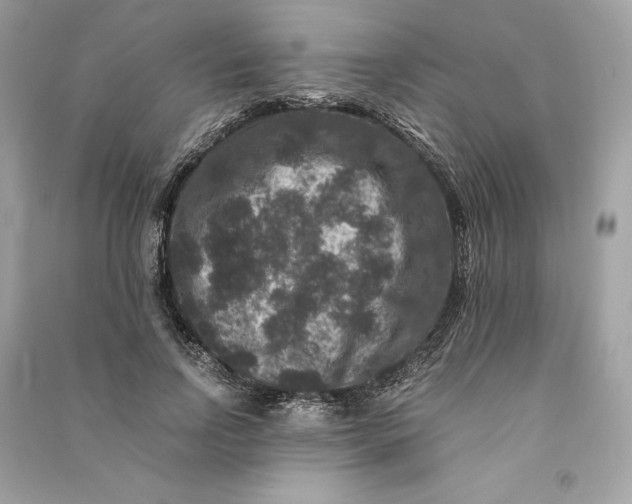 X0000090760742200708101747