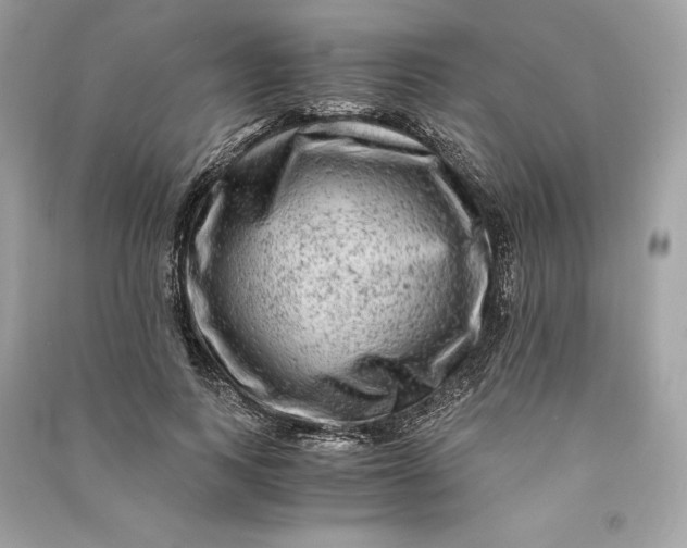 X0000090760743200708101747