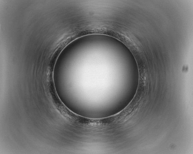 X0000090760744200708101747