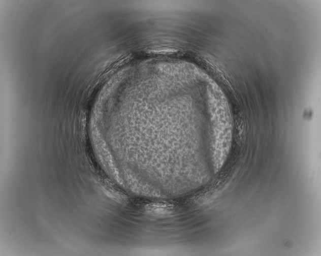 X0000090760745200708101747