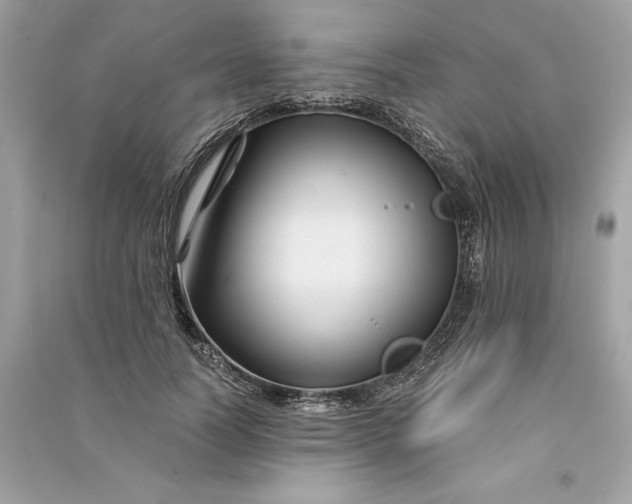 X0000090760746200708101747