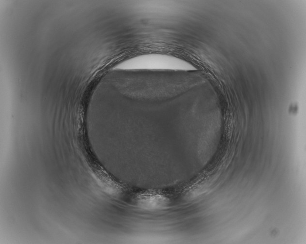 X0000090760747200708101747