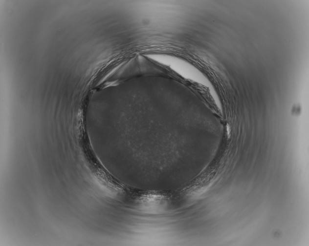 X0000090760748200708101747