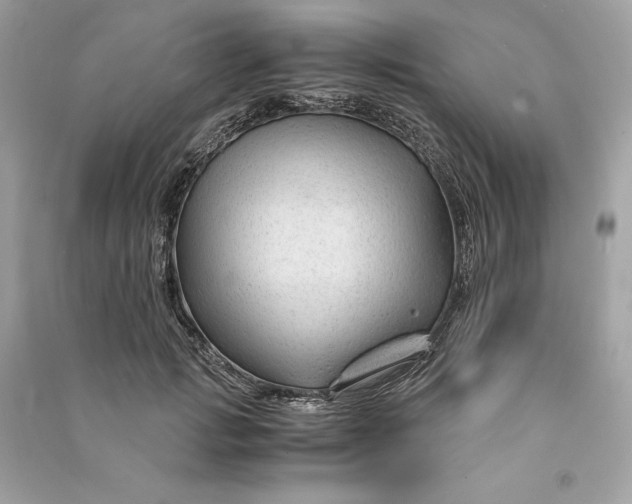 X0000090760749200708101747