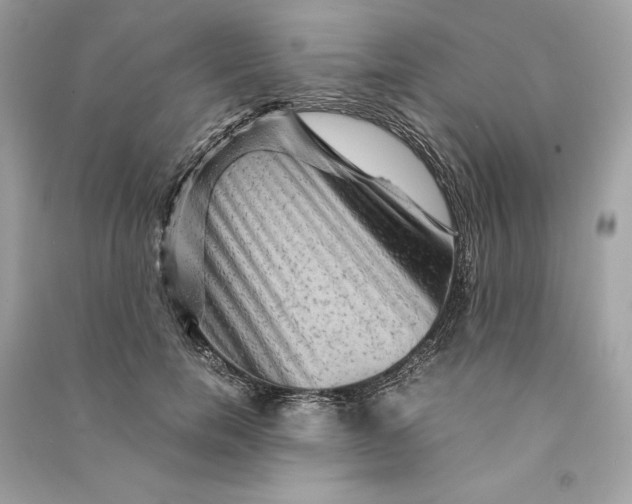 X0000090760750200708101747