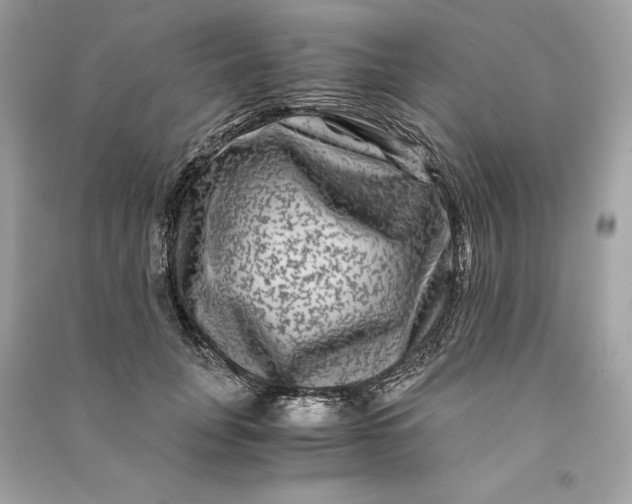 X0000090760751200708101747