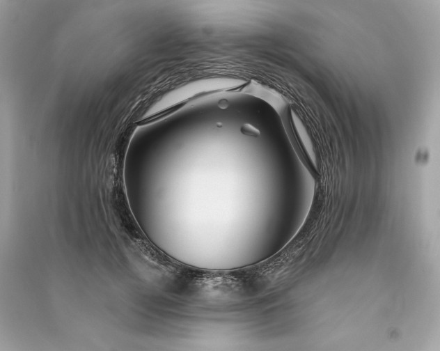 X0000090760752200708101747