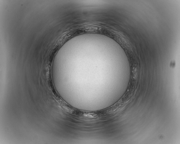 X0000090760753200708101747