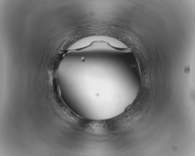 X0000090760756200708101747