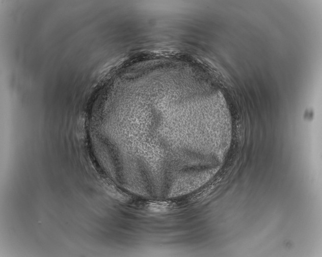 X0000090760757200708101747