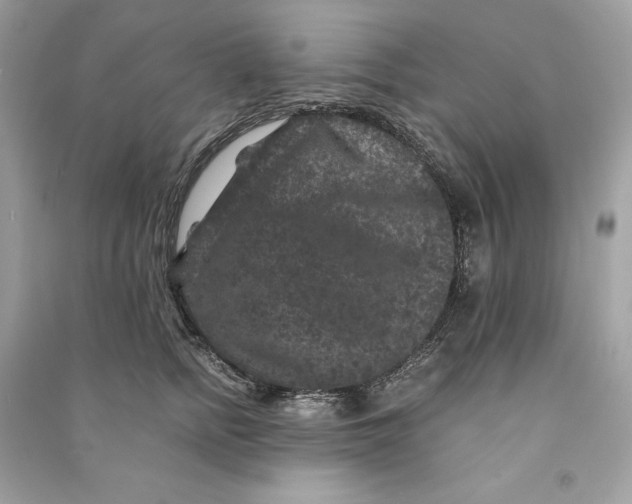 X0000090760758200708101747