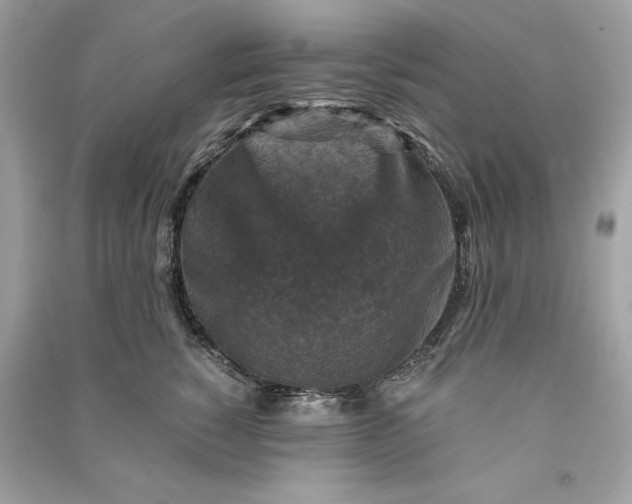 X0000090760760200708101747