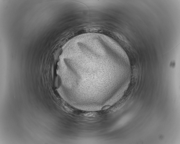 X0000090760761200708101747