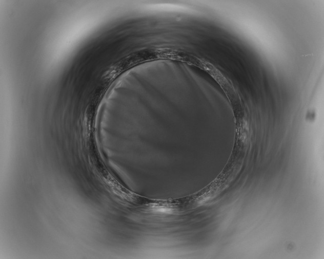 X0000090760763200708101747