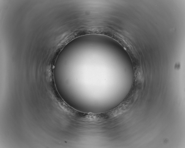 X0000090760764200708101747