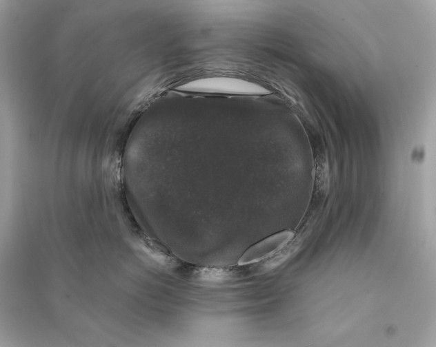 X0000090760766200708101747