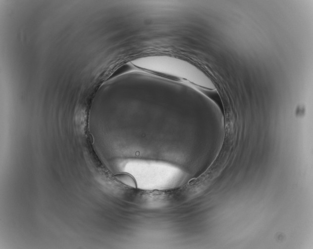 X0000090760767200708101747