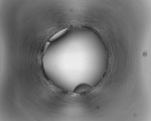 X0000090760768200708101747