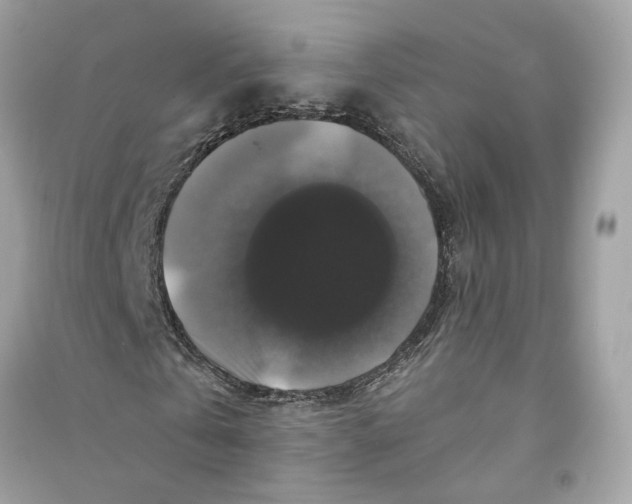 X0000090760769200708101746