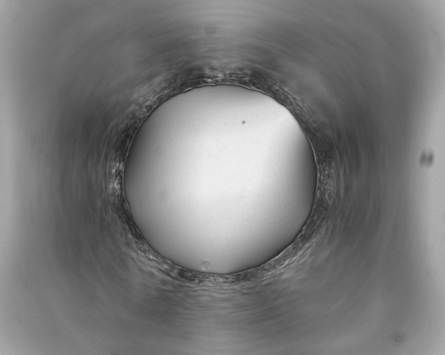 X0000090760770200708101746