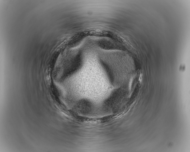 X0000090760771200708101746