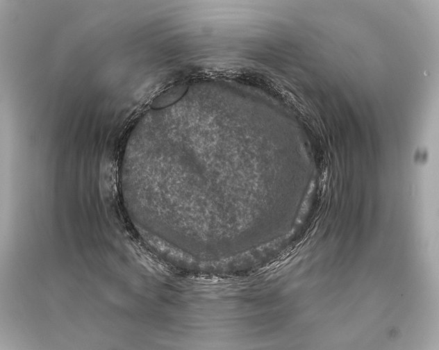 X0000090760772200708101746