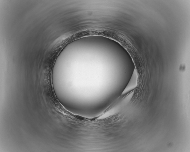 X0000090760773200708101746