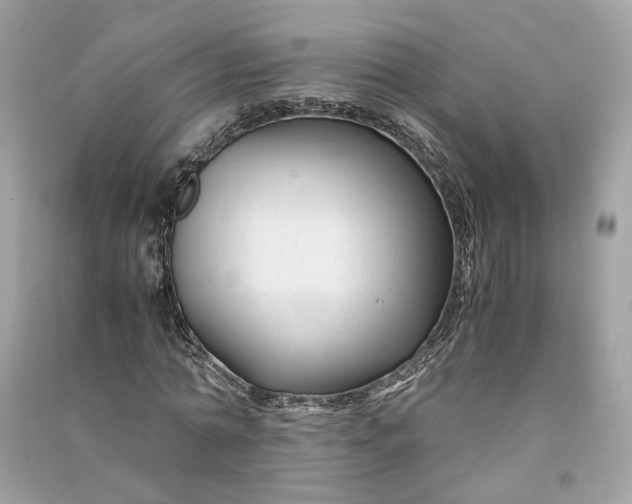 X0000090760774200708101746