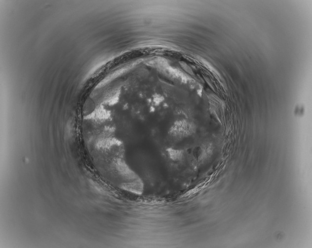 X0000090760775200708101746