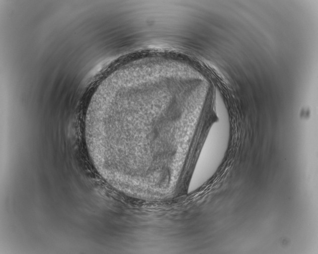 X0000090760776200708101746