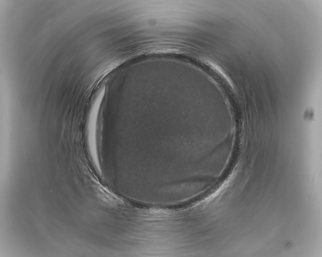 X0000090760777200708101746