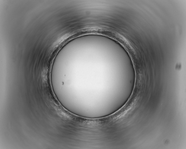 X0000090760778200708101746