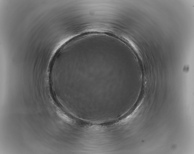 X0000090760779200708101746