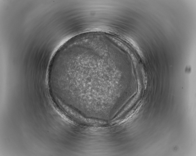 X0000090760780200708101746