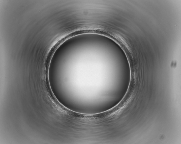 X0000090760781200708101746