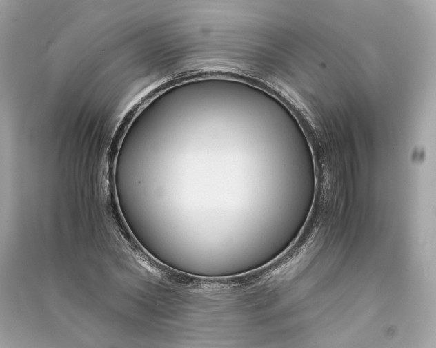 X0000090760782200708101746