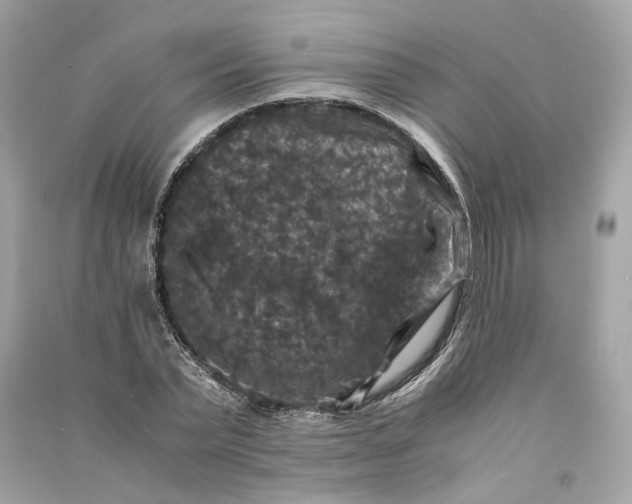 X0000090760783200708101746