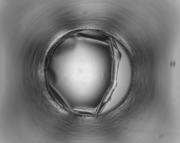 X0000090760784200708101746