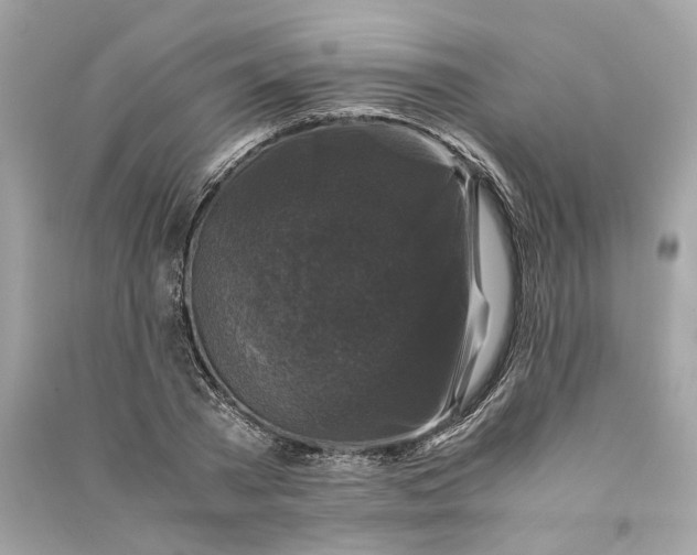 X0000090760785200708101746