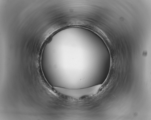 X0000090760786200708101746