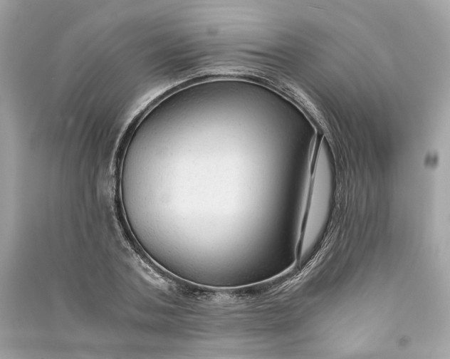 X0000090760787200708101746