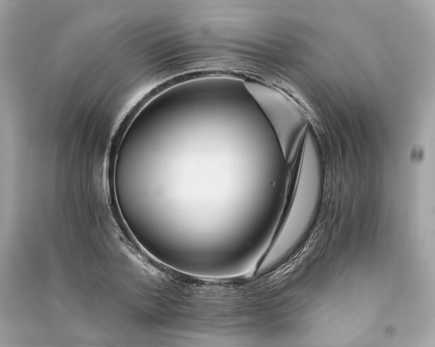 X0000090760788200708101746