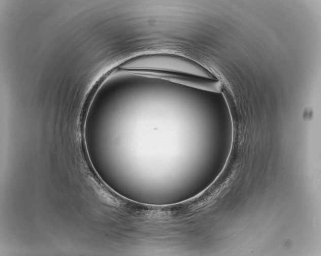 X0000090760789200708101746