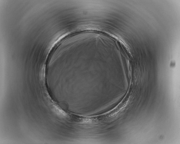 X0000090760790200708101746